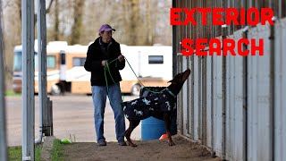 How to Train Scent Work Exterior Search in a Distracting Environment [upl. by Blunt171]