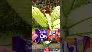 KitKat vs diary milk crispello 🔥 short support our channel ❤️‍🔥 [upl. by Okwu]