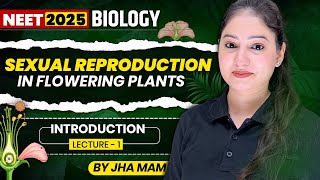 Sexual Reproduction In Flowering Plants  L01 PART 02  ncertbio neet class12 class12biology [upl. by Aloivaf802]