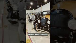 Rows of Cadillacs 💯 cadillac classic cars vintagecars auto [upl. by Shep156]