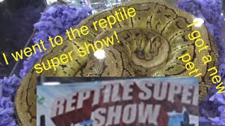 I went to the reptile super show And got a new pet [upl. by Secnirp]