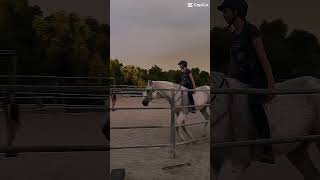 Rode Scotti tackless for the first time M11 Swiftieeq READ DESC keepfightingliz [upl. by Telford]