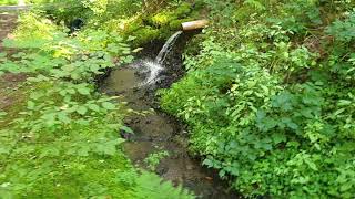 Fischbach  Nebenbach der Kyll  Bischen flussaufwärts Fischteiche Wald Emschermann im Eifelurlaub [upl. by Elyrpa]