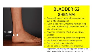 BLADDER 62 SHENMAI EXTENDING VESSEL EXTENDED MERIDIAN [upl. by Win]