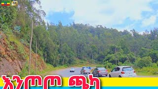 የአዲስ አበባ መግቢያ  Entoto Forest Addis Ababa 🇪🇹 Ethiopia Walking tour 2024 [upl. by Feer]