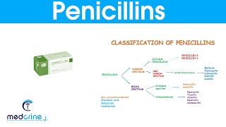 Penicillins classification MOA indications  side effects pharmacokinetics [upl. by Eelyrag]