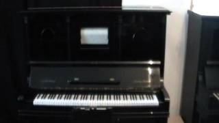 Grotrian Steinweg Hupfeld Solophonola [upl. by Nuyh]