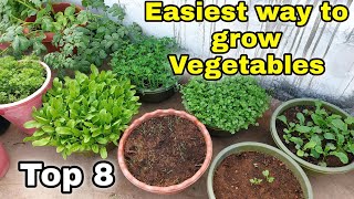 Easiest way to grow Top 8 Vegetables at HomeGarden  Small space gardening CC [upl. by Henarat]