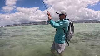 Bonefish In Hawaii [upl. by Lockwood]