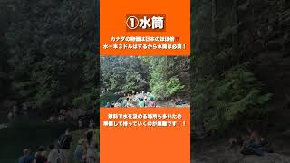 【旅行・留学に必見‼️】カナダに持ってくべきもの３選！shortsカナダ観光旅行留学 [upl. by Atlee]