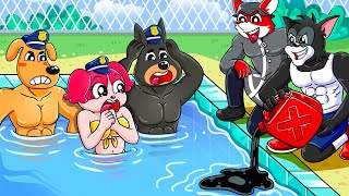 There is Danger Papillon and Sheriff Labrador cannot swim in the swimming pool [upl. by Rimola]