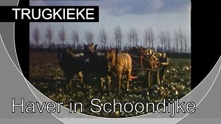 Trugkieke  Haver in Schoondijke 1967 [upl. by Asfah]