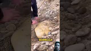 goldfishing treasure smartphone gemstone shortvideo masukberanda trendingfunnyamazingfacts [upl. by Elatnahc]