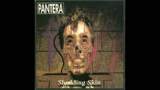 Pantera  Shedding Skin Live 1994 [upl. by Waltner593]