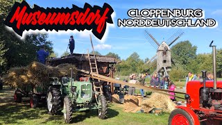 MUSEUMSDORF CLOPPENBURGERNTEN und ESSEN4K cloppenburg museumsdorf ernte traktor [upl. by Gnay191]