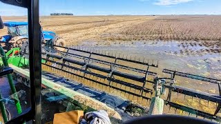 DESAFIO EXTREMO NA COLHEITA DA SOJA NO BARRO RSCASE NEW HOLLAND JOHNDEERE [upl. by Lodnar661]