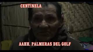 Informe A H Palmeras del Golf Part 2 de 2 [upl. by La914]