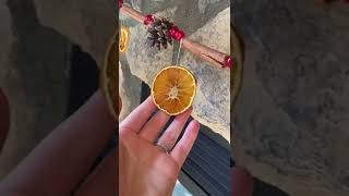 How to Make Dried Orange Slice Ornaments and Garland shorts [upl. by Karola]