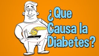 Qué causa la diabetes azúcar en la sangre la diabetes tipo 2 [upl. by Jeannine]