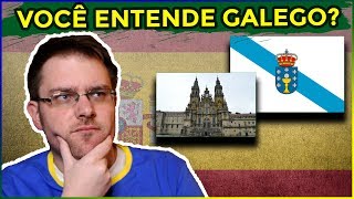 O idioma GALEGO  Você consegue entender  Idioma falado na Galiza [upl. by Vernor]