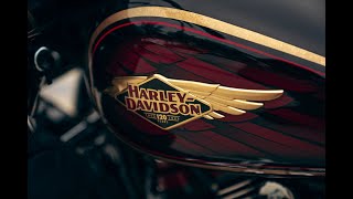 2023 HarleyDavidson Best Models  FINAL LOOK [upl. by Pucida766]