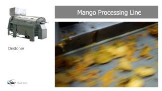 JBT Fruit and Vegetables Processing  Mango Processing Line 09108 [upl. by Lynnea]