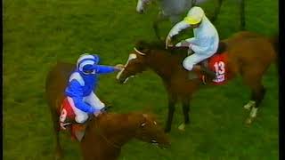 1989 Epsom Derby Nashwan Includes Replay Into Enclosure [upl. by Iru]