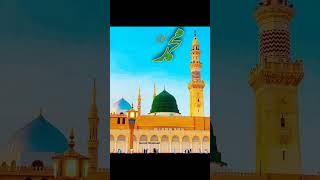 Beautiful Islamic Video 🥰 shorts islamic shortsvideo makkah youtubeshorts allah tiktokvideo [upl. by Zavras787]