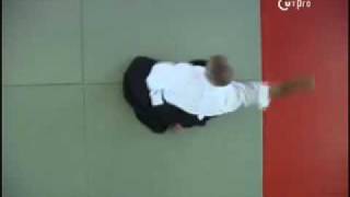 AIKIDOZEN Gerhard Walter Shihan 8 Dan  Zen  Lehrer [upl. by Malvina]