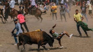 Colombias Most Dangerous Tradition Bull Running Gringo En La Corraleja de Since [upl. by Newnorb]