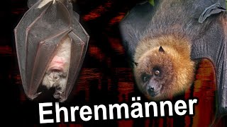 Fledermäuse die Ehrenmänner [upl. by Ennovehs]