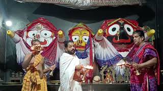 Shri Jagannath Mangal Arati Darshan 🙏  26Nov2024 [upl. by Eseilenna]