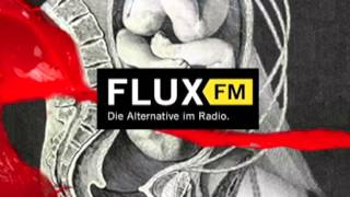 ▲Chris CornerIAMX speaks about quotThe Unified Fieldquot at FluxFM Radio [upl. by Hecht]