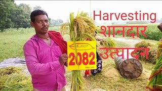 JK2082 Dhan ki taiyari kisan shree  vijay poddar [upl. by Hnacogn]