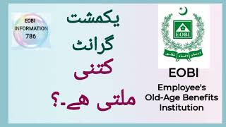 old age grant kitni milti ha eobi Infoeobi pension 2024 eobi latest news pension Increase update [upl. by Damalas626]