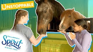 Top 5 Tips For Rescue Horse Training  THATS THE SPIRIT [upl. by Adiazteb996]