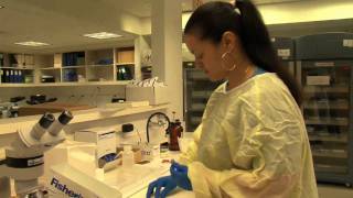 Miosotis Galdos Medical Laboratory Technician Program [upl. by Jamnes425]