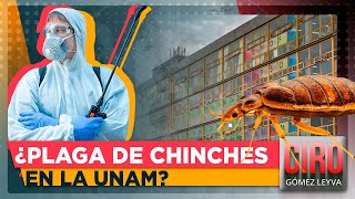 Comienza fumigación en la UNAM por plaga de chinches  Ciro Gómez Leyva [upl. by Knobloch]