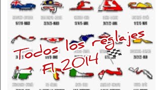 F1 2014🏁todos los reglajes todos los circuitos [upl. by Kurt]