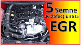 5 semne de EGR defect [upl. by Zulema]