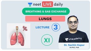 Breathing amp Gas Exchange  Lecture 3  Unacademy NEET  LIVE DAILY  NEET Biology  Dr Sachin Kapur [upl. by Hosea602]