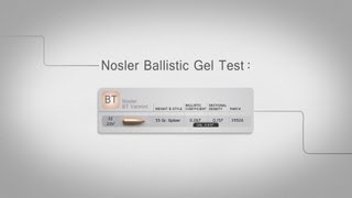 Nosler Ballistic Tip Varmint Bullet Gel Test [upl. by Camile]