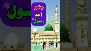 Jashn e Amad e Rasool  Rabi ul Awal  Shorts [upl. by Ilocin]