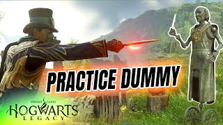 PRACTICE DUMMY Location in Hogwarts Legacy to Practice Combos No DamageDPS Meter [upl. by Regnig]