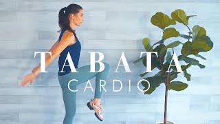 Tabata Workout for Beginners amp Seniors  Cardio amp Tone Pilates inspired Exercises [upl. by Yates278]