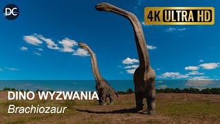 Dino wyzwania Brachiozaur  4K  Dinozaury  Ciekawostki o dinozaurach  Dinozaury po polsku [upl. by Arracot]