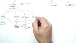 Cardiac Drugs Part 1 Intro and Afterload [upl. by Anella]