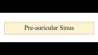 Preauricular Sinus [upl. by Ydahs]