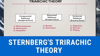 STERNBERGS TRIARCHIC THEORY OF INTELLIGENCE [upl. by Adaurd]