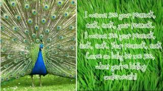 Peacock  Katy Perry Lyrics [upl. by Nosam]